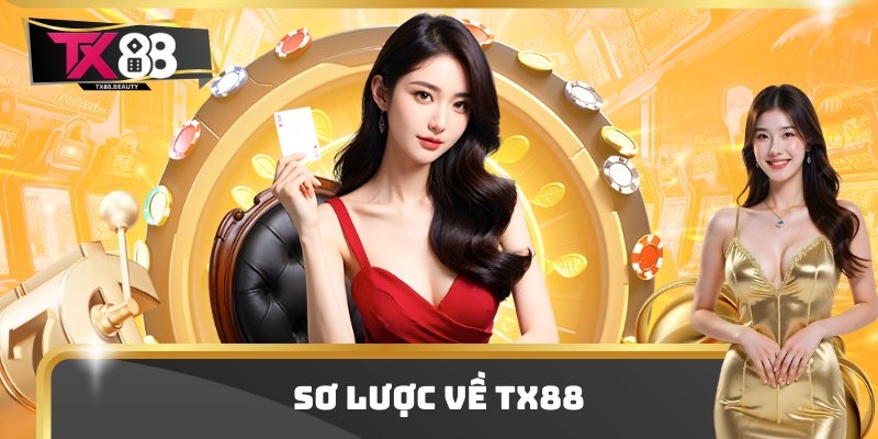 Sơ lược về TX88